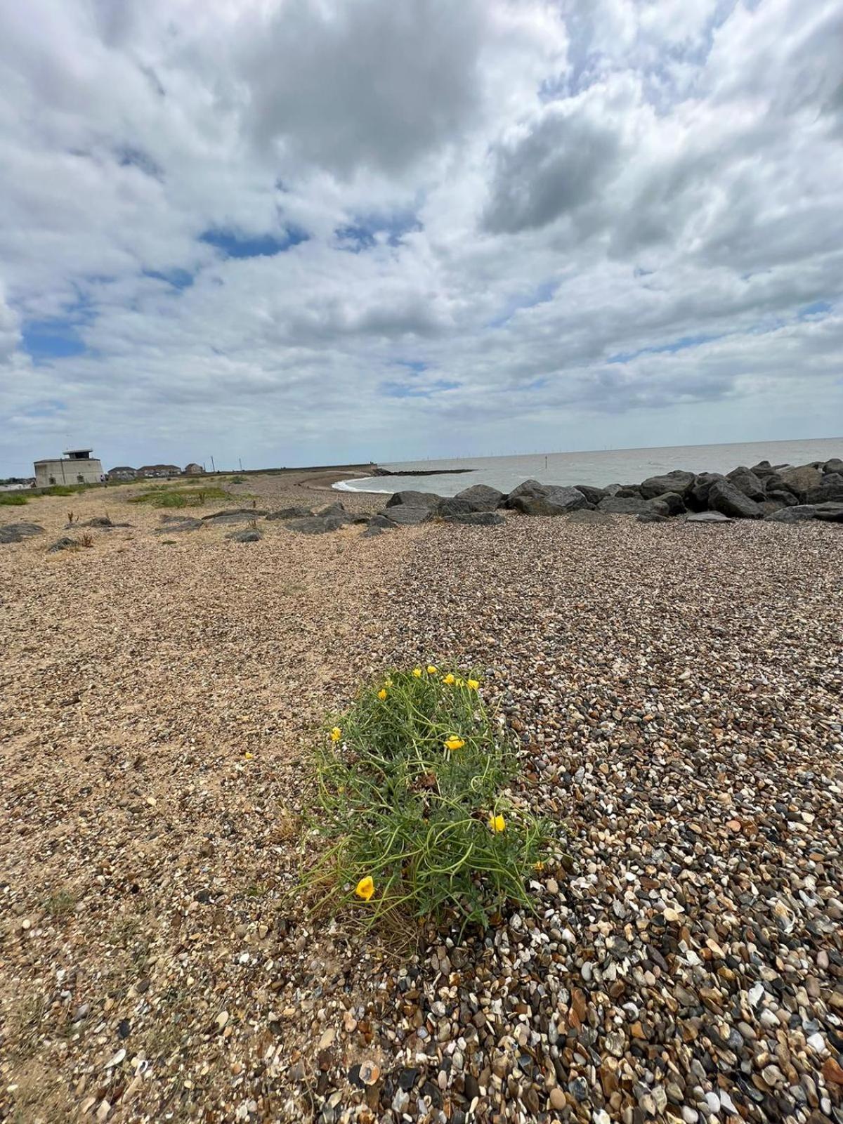 Luxurious Three Bedroom Caravan Jaywick Sands Экстерьер фото